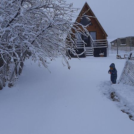 Thomas' Hut Apartment Kazbegi Luaran gambar