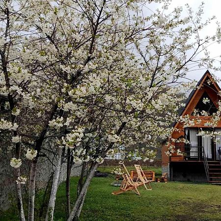 Thomas' Hut Apartment Kazbegi Luaran gambar