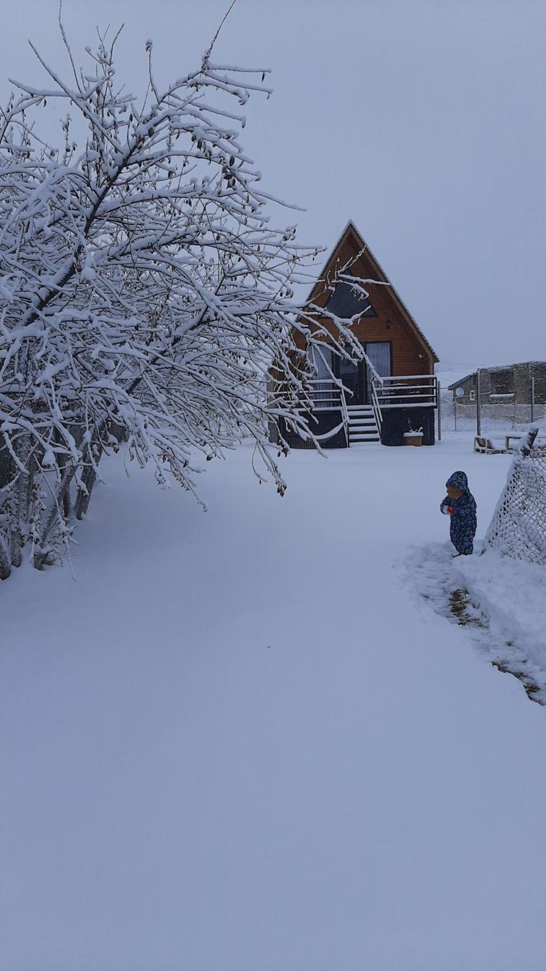 Thomas' Hut Apartment Kazbegi Luaran gambar